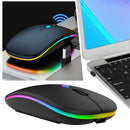 Mouse Sem Fio Recarregável Ergonômico Bluetooth e 2.4GHz